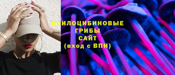 гидра Снежногорск