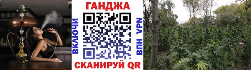 Бошки марихуана VHQ  Камень-на-Оби 
